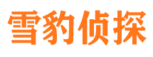 青白江外遇出轨调查取证